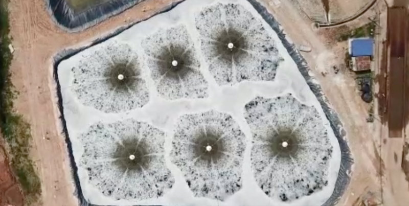 Lagoon Aeration